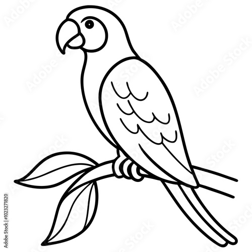 parrot isolated on white silhouette vector illustration