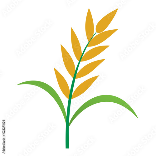 Rice ears isolated on white