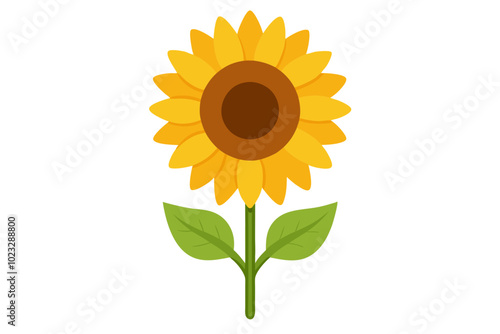 Sunflower | vector illustration on white background