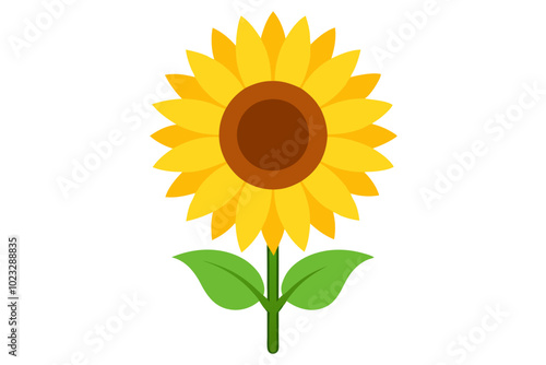 Sunflower | vector illustration on white background