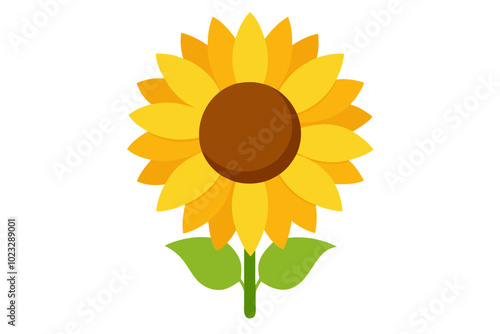 Sunflower | vector illustration on white background