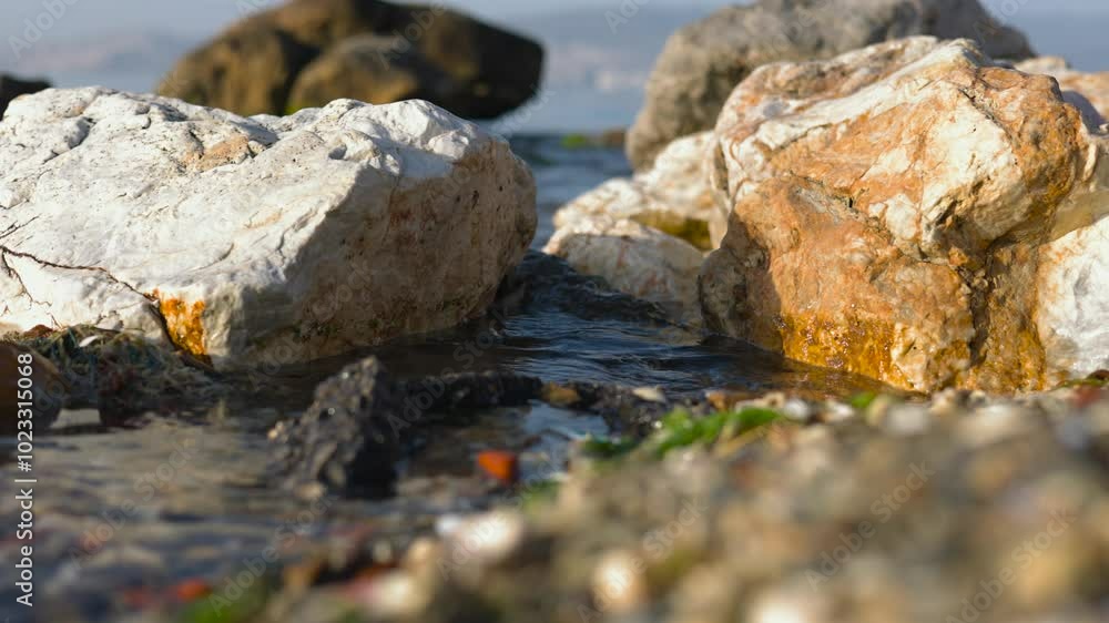 Waves Gently Crashing Against Rocks on the Shore in Slow Motion
Waves Gently Crashing Against Rocks on the Shore in Slow Motion