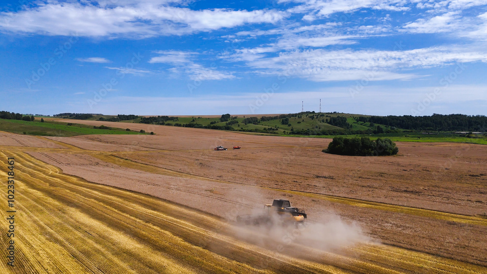 Obraz premium combines in the wheat field