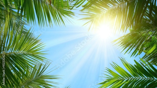 Sunlight streaming through palm leaves, with clear space for text in the blue sky above