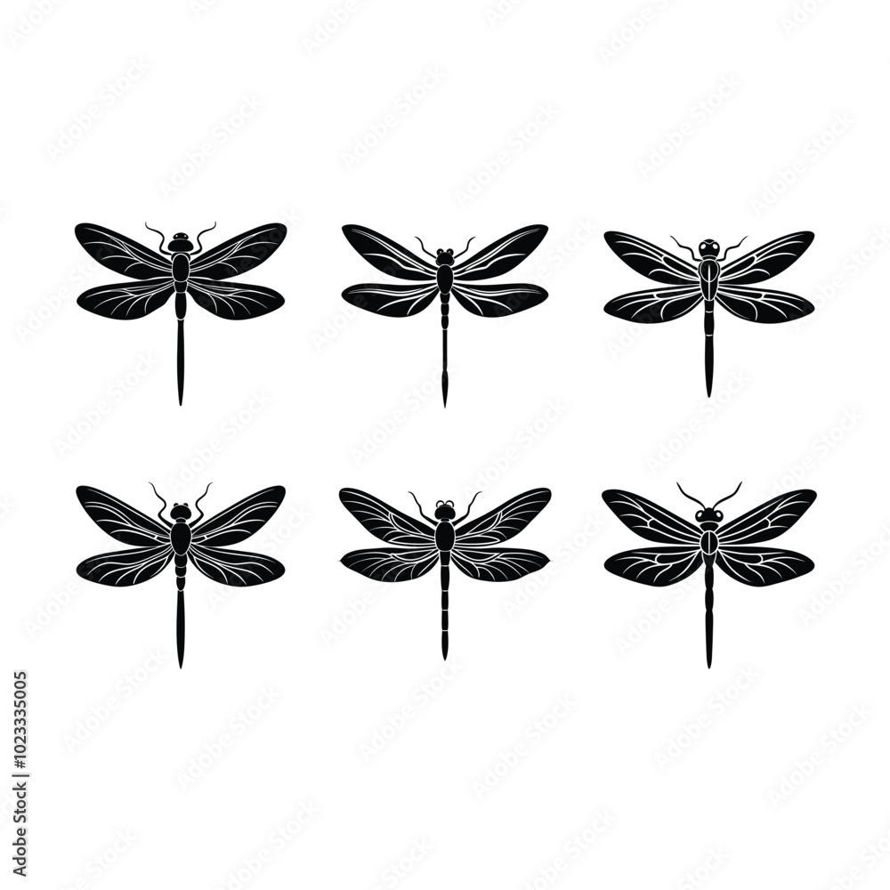 Fototapeta premium dragonfly on white background, Instant Digital Download. Illustration for prints on t-shirt and bags, posters 
