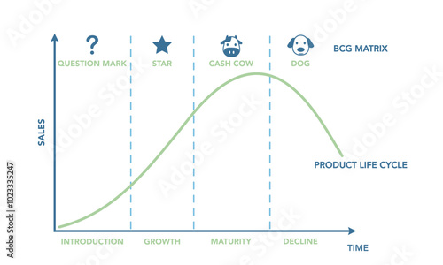 A product or business lifecycle typically consists of four stages: introduction, growth, maturity, and decline. Understanding these stages is crucial for developing effective marketing strategies.