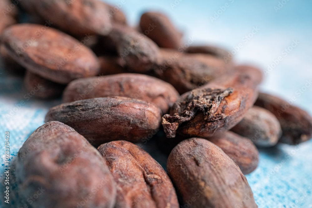 Raw cocoa beans in close-up Raw cocoa beans in close-up