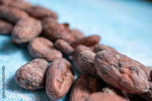 Raw cocoa beans in close-up