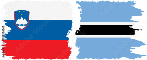 Botswana and Slovenia grunge flags connection, vector
