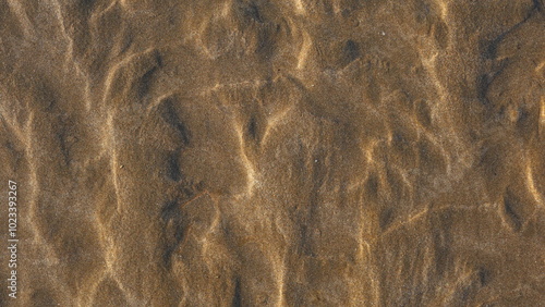 Sand Textured Topdown Golden Natural Abstract Pattern Outdoor Beach