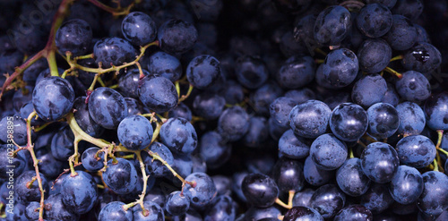 Bunch of blue grapes close up background 