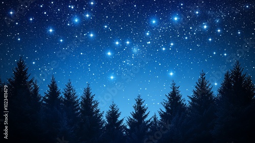 Starry night sky with silhouetted trees