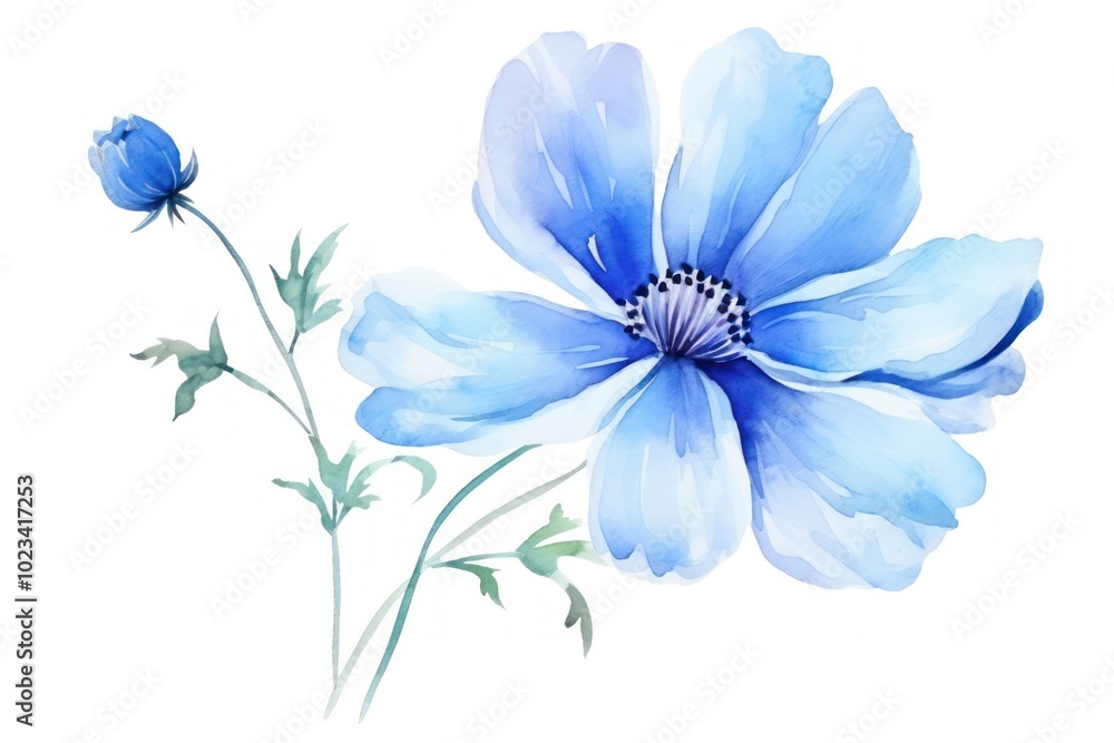 Flower blossom petal plant. Flower blossom petal plant.