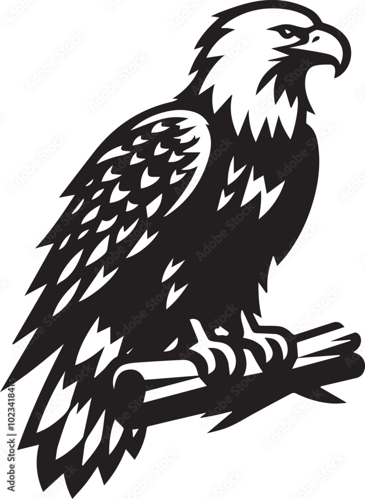 Obraz premium Bald eagle black drawing silhouette design