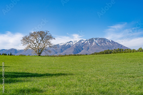 春の岩手山／岩手県