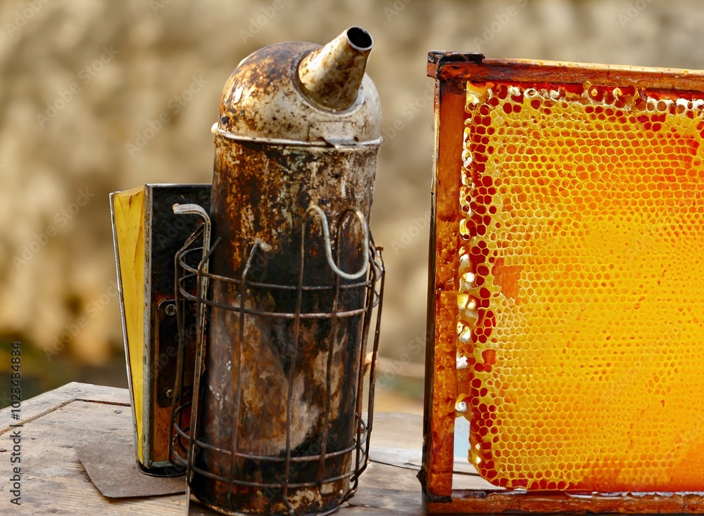 an old smoker to calm bees and a honeycomb