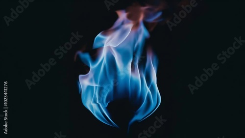A cool, mesmerizing blue flame burns with a surreal glow, creating an otherworldly feeling of controlled energy and calm intensity against a black background.
