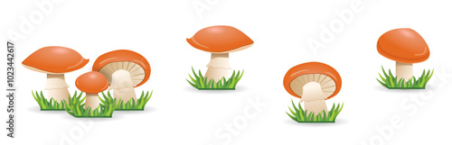 Seamless vector pattern with cute cartoon forest mushrooms. Edible mushroom boletus on white background. Can be used Creative design for printing on fabric, wallpaper and scrapbooking.