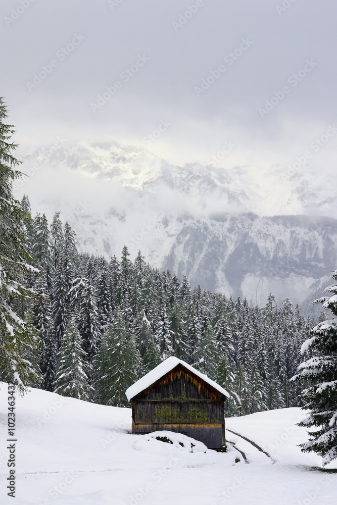 landscape with snow landscape with snow