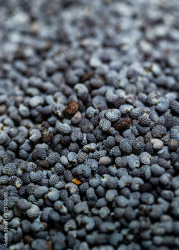 poppy seeds close up , texture . Vertical Macro photo.