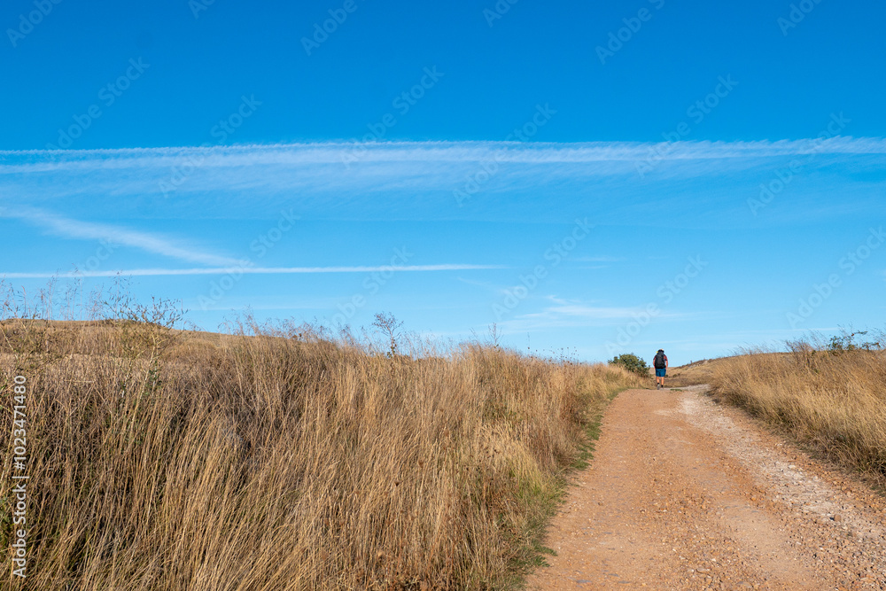 Obraz premium View of the stage of the Camino de Santiago from Burgos to Hornillos del Camino through the Cerealera Plateau