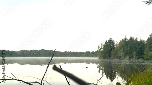morning fog on a lake