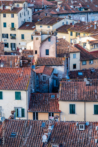 Hausdächer der historischen Stadt Lucca in Italien mit Dachterrassen und Gärten