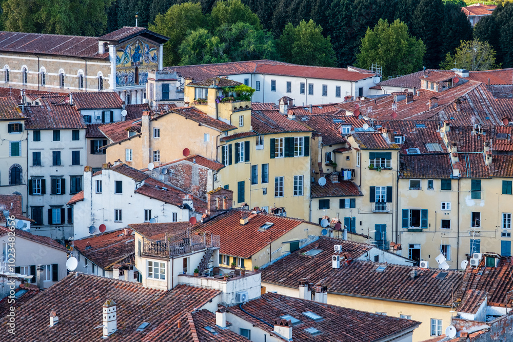 Hausdächer der historischen Stadt Lucca in Italien mit Dachterrassen und Gärten Hausdächer der historischen Stadt Lucca in Italien mit Dachterrassen und Gärten