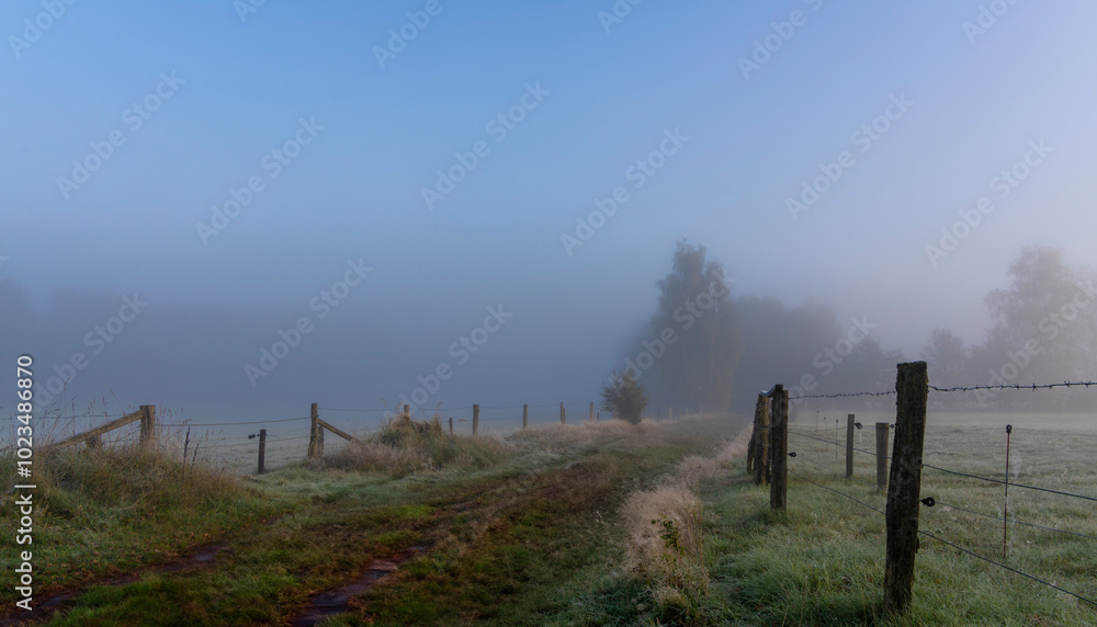 Frühnebel, Landschaft im und am Wittmoor, Norderstedt, Schleswig-Holstein, Deutschland