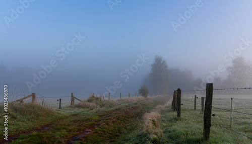 Obraz na płótnie Frühnebel, Landschaft im und am Wittmoor, Norderstedt, Schleswig-Holstein, Deutschland w salonie
