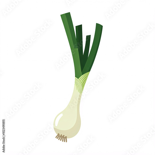 green onion vector illustration isolated on white background