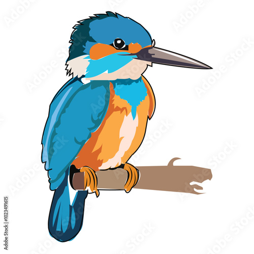 Kingfisher vector art design photo