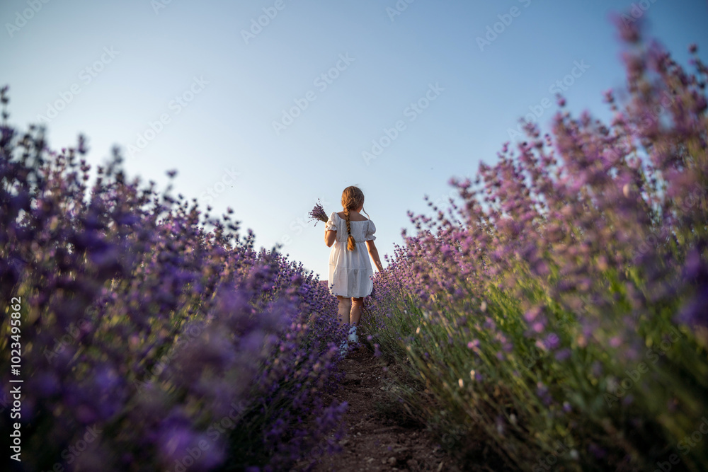 Lavender field girl. Back view happy girl in white dress with a scythe runs through a lilac field of lavender. Aromatherapy travel Lavender field girl. Back view happy girl in white dress with a scythe runs through a lilac field of lavender. Aromatherapy travel