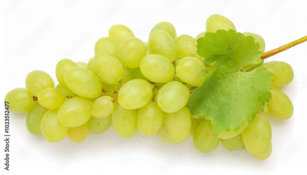 Ripe juicy sweet green grapes bunch isolated on white background Ripe juicy sweet green grapes bunch isolated on white background