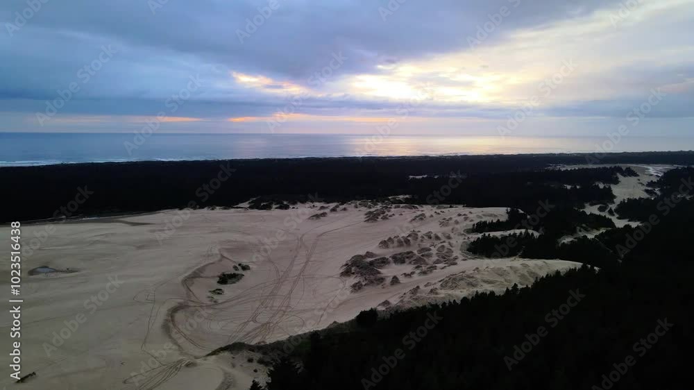 custom made wallpaper toronto digitalAerial drone footage over sand dunes and trees at dusk with a cloudy sky with ocean in the background in Oregon, USA