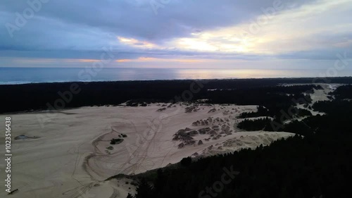 Wallpaper Mural Aerial drone footage over sand dunes and trees at dusk with a cloudy sky with ocean in the background  in Oregon, USA Torontodigital.ca