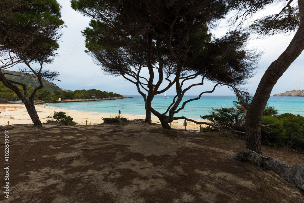 Spiaggia di Cala Agulla a Maiorca in Spagna Spiaggia di Cala Agulla a Maiorca in Spagna