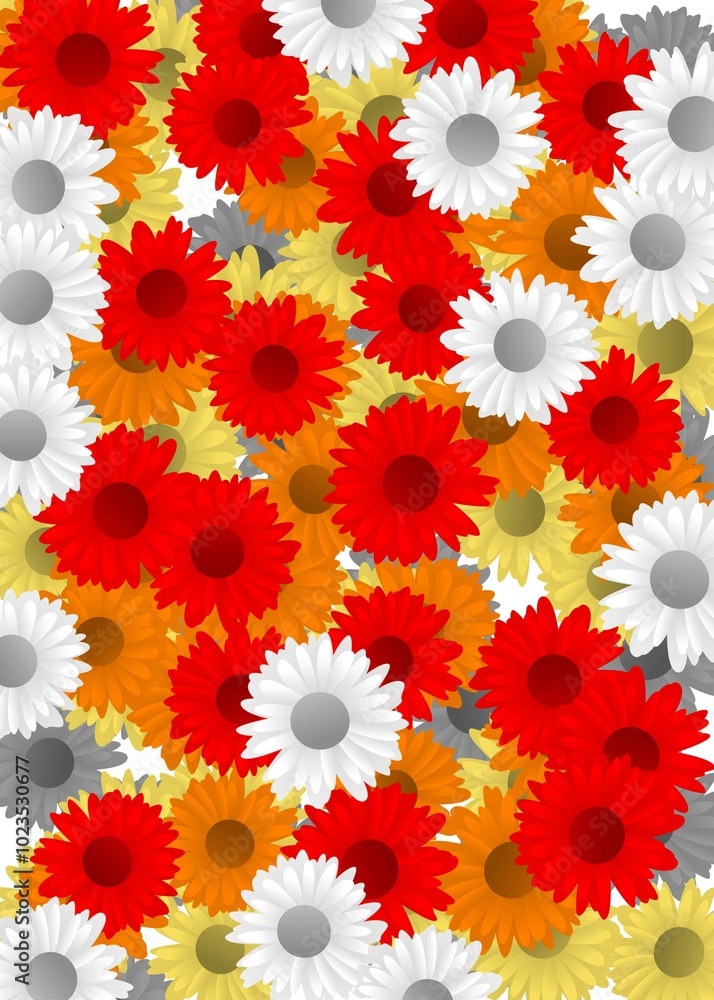 red and white flowers red and white flowers