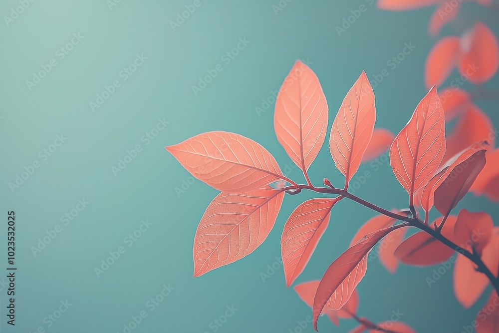 Beautiful pink leaves on a branch stand out elegantly against a teal background, symbolizing nature's serenity and grace. Beautiful pink leaves on a branch stand out elegantly against a teal background, symbolizing nature's serenity and grace.