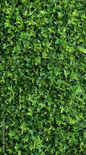 A vivid image of an artificial green leafy hedge forms a diagonal backdrop, exuding freshness and liveliness with its deep green color and orderly arrangement.