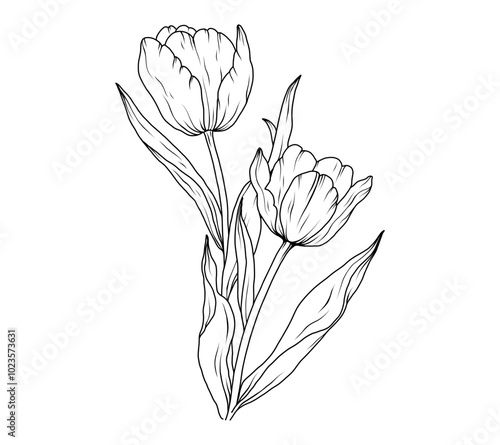 Tulip flower bouquet line art sketch. Floral outline hand drawn spring bouquet. Tulips black vintage linear bouquet vector illustration
