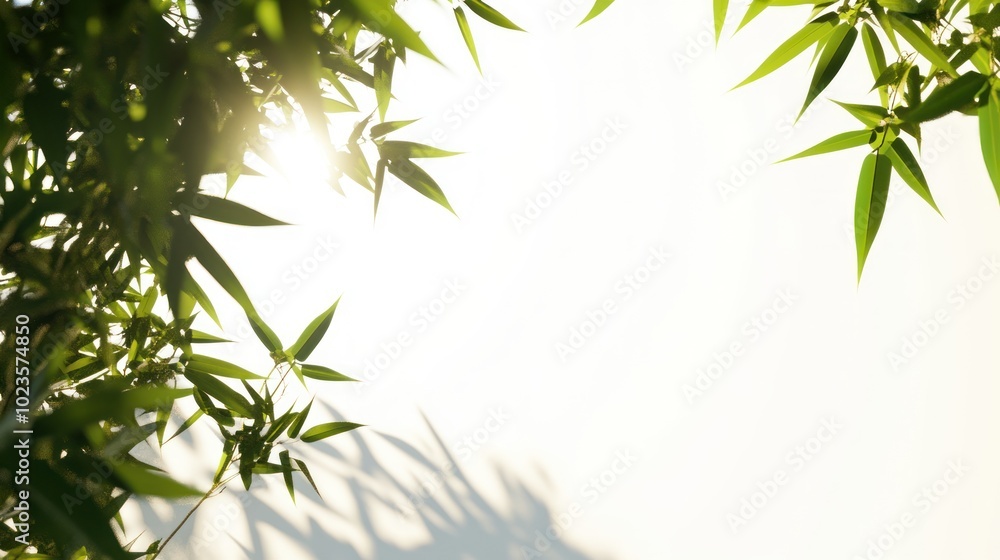 bamboo leaves and morning sky, with empty space for copy on the bottom right side of the frame bamboo leaves and morning sky, with empty space for copy on the bottom right side of the frame