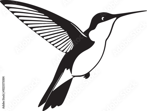 Elegant Hummingbird Flying Silhouette  Vector Design With White Background photo