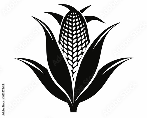 Corn silhouette,Corn vector illustration