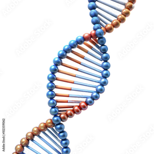 Colorful DNA double helix structure model, isolated on transparent or white background. photo