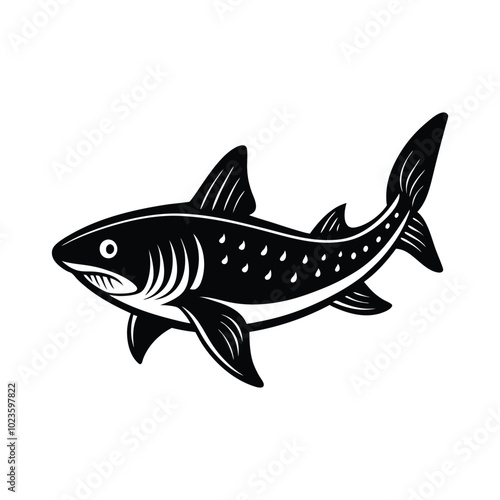 Dogfish silhouette on vector illustration with white background.