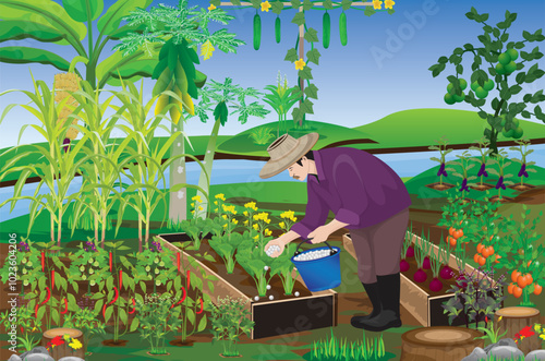 agriculturist is fertilizering into vegetables in her garden.vector design