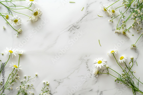 A white background with a bunch of flowers in the foreground