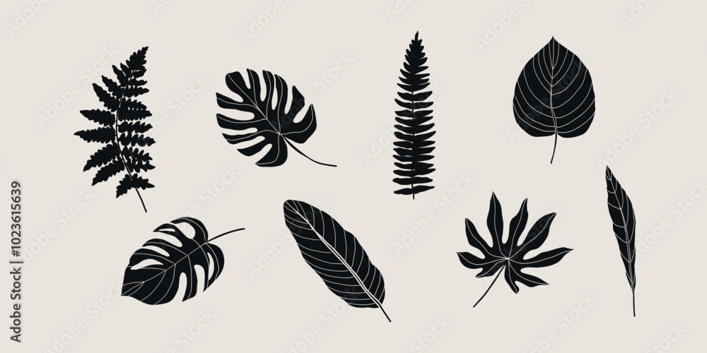 Flat vector tropical leaves collection Flat vector tropical leaves collection