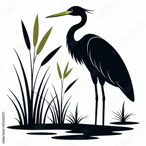 A heron standing in the marsh silhouette vector illustration on white background